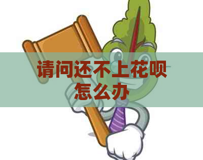 请问还不上花呗怎么办