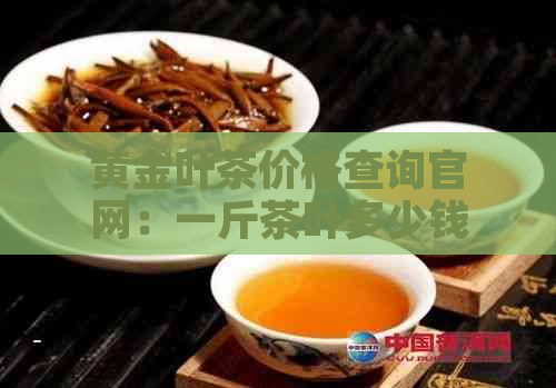 黄金叶茶价格查询官网：一斤茶叶多少钱？