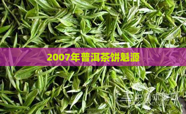 2007年普洱茶饼魁源