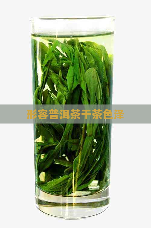 形容普洱茶干茶色泽