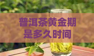 普洱茶黄金期是多久时间