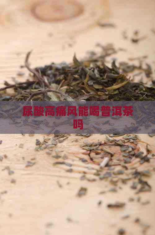 尿酸高痛风能喝普洱茶吗