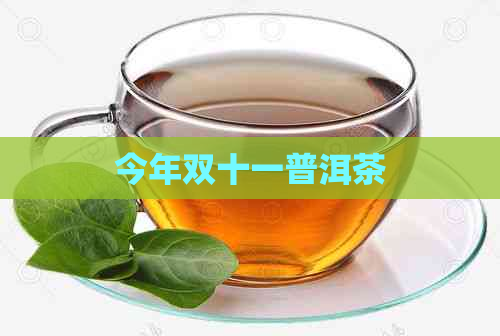 今年双十一普洱茶