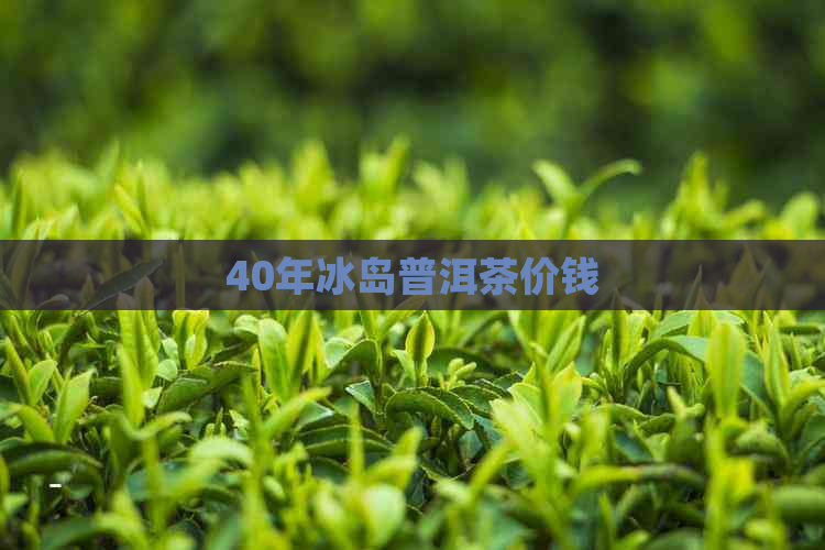 40年冰岛普洱茶价钱