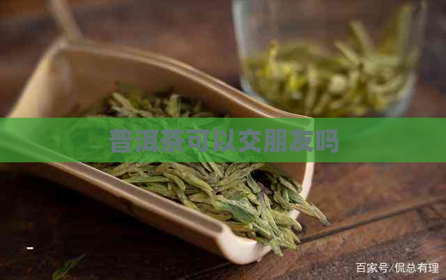 普洱茶可以交朋友吗