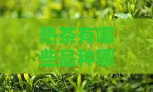 热茶有哪些品种哪些茶属于热茶