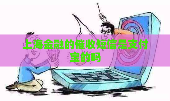 上海金融的短信是支付宝的吗