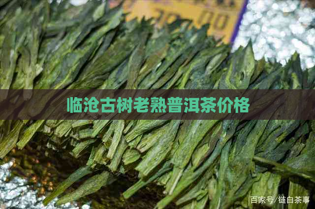 临沧古树老熟普洱茶价格