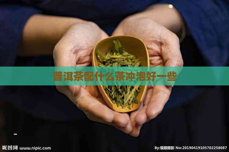 普洱茶配什么茶冲泡好一些