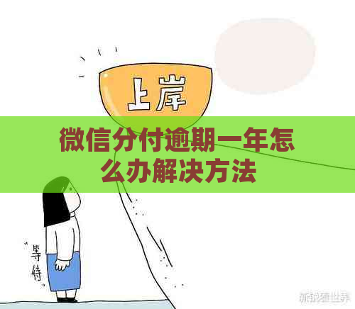 微信分付逾期一年怎么办解决方法