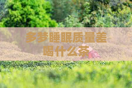 多梦睡眠质量差喝什么茶