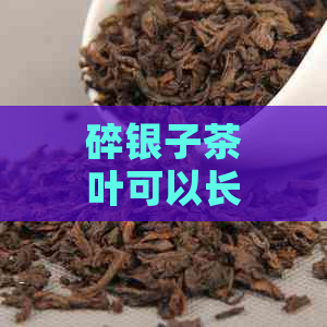 碎银子茶叶可以长期饮用吗百度