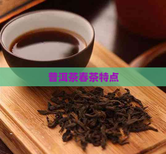 普洱茶春茶特点