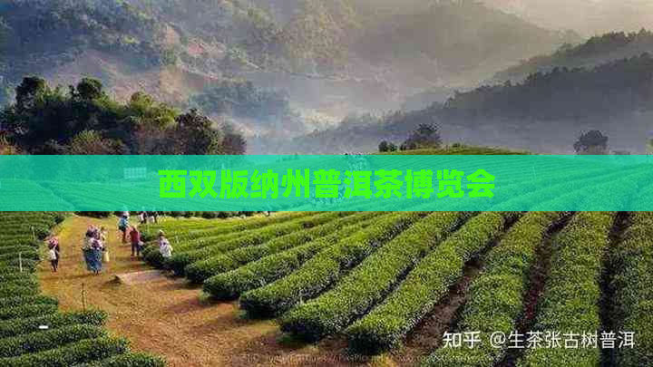 西双版纳州普洱茶博览会