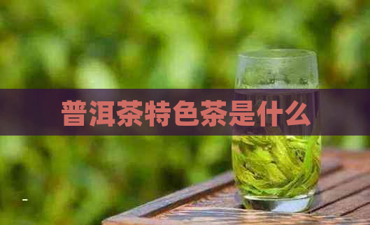 普洱茶特色茶是什么