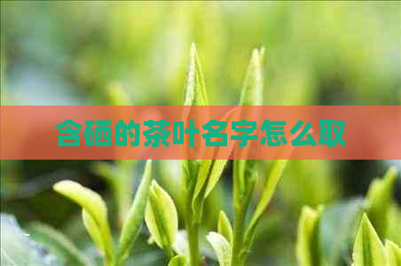 含硒的茶叶名字怎么取