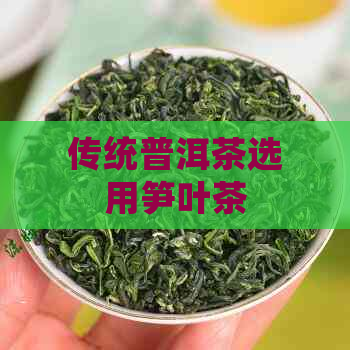 传统普洱茶选用笋叶茶