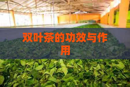 双叶茶的功效与作用