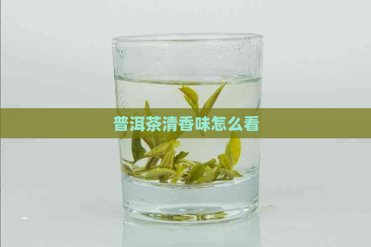 普洱茶清香味怎么看