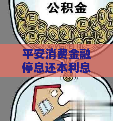 平安消费金融停息还本利息