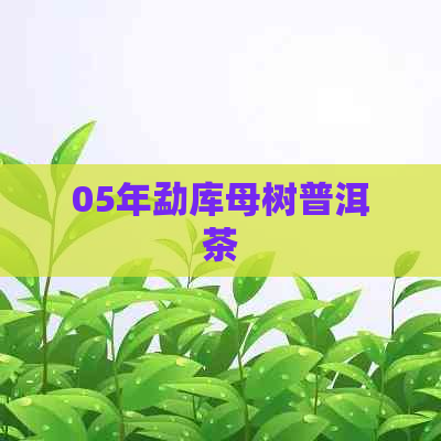 05年勐库母树普洱茶