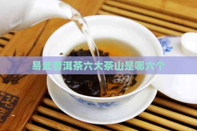 易武普洱茶六大茶山是哪六个