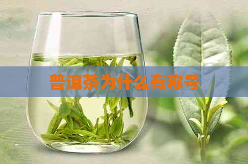 普洱茶为什么有称号