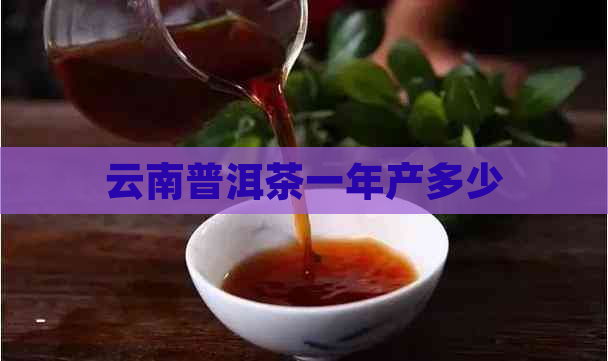 云南普洱茶一年产多少