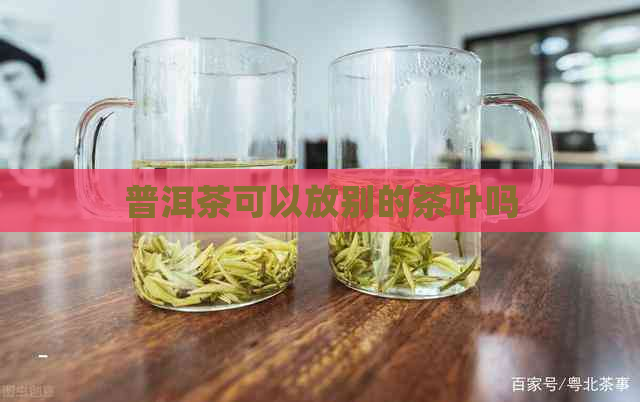 普洱茶可以放别的茶叶吗