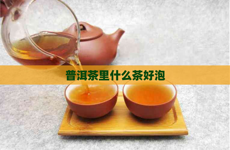 普洱茶里什么茶好泡