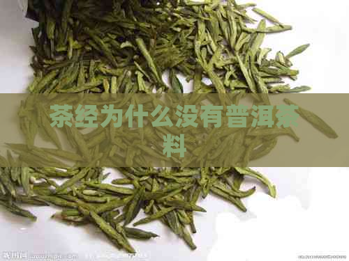 茶经为什么没有普洱茶料