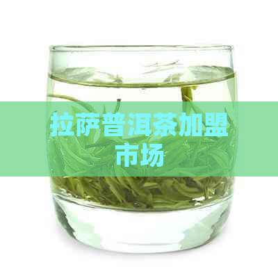      普洱茶加盟市场