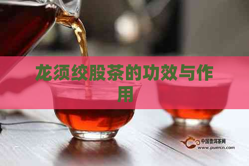 龙须绞股茶的功效与作用