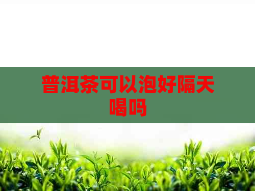 普洱茶可以泡好隔天喝吗