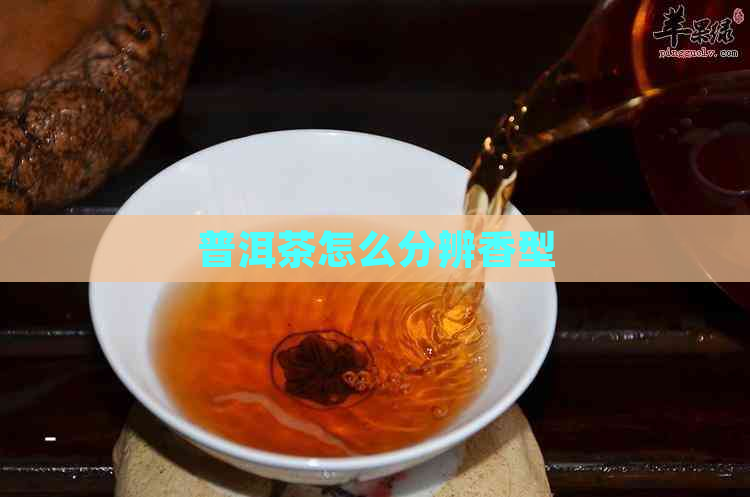 普洱茶怎么分辨香型