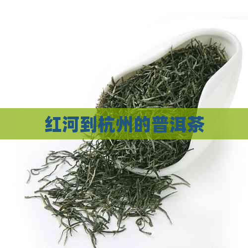 红河到杭州的普洱茶