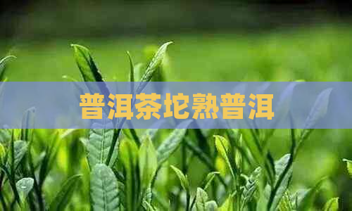 普洱茶坨熟普洱