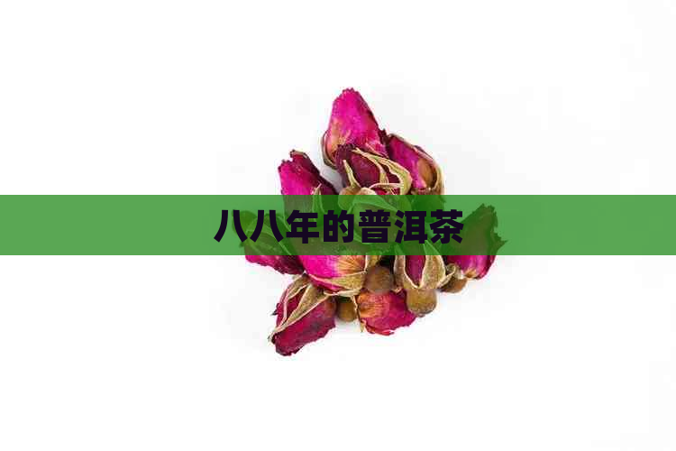 八八年的普洱茶