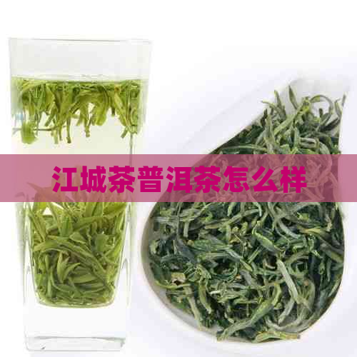 江城茶普洱茶怎么样