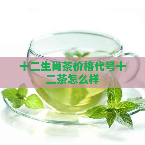 十二生肖茶价格代号十二茶怎么样