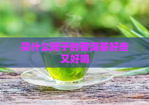 买什么牌子的普洱茶好些又好喝