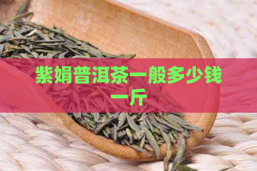 紫娟普洱茶一般多少钱一斤