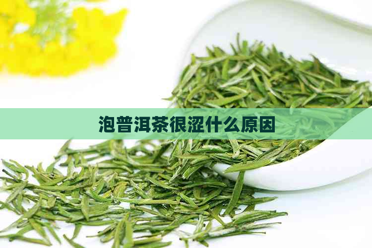 泡普洱茶很涩什么原因