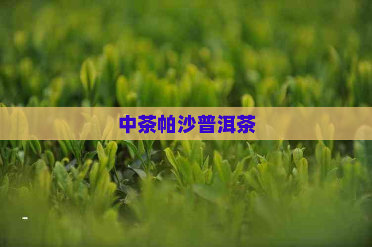 中茶帕沙普洱茶