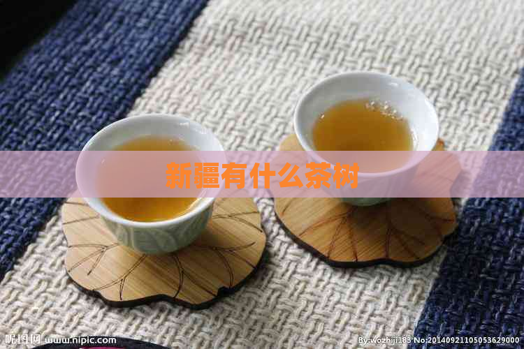 新疆有什么茶树