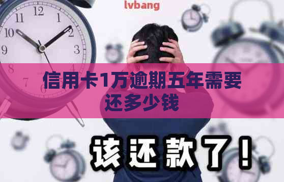 信用卡1万逾期五年需要还多少钱