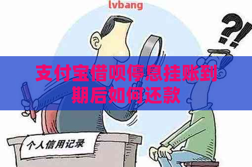 支付宝借呗停息挂账到期后如何还款