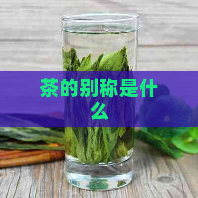 茶的别称是什么