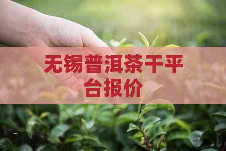 无锡普洱茶干平台报价