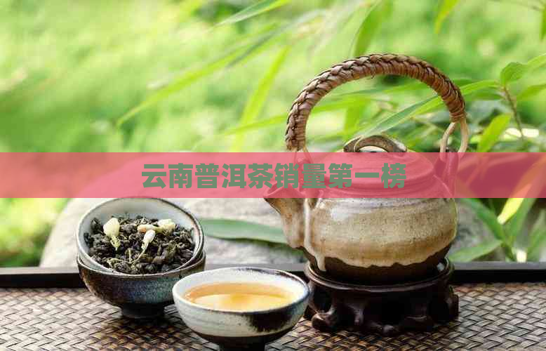 云南普洱茶销量之一榜